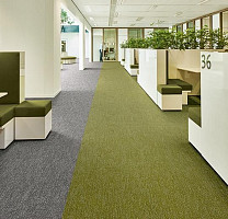 Flotex Colour Canyon 50*50 t 545027 Canyon Kelp фото 2 | FLOORDEALER